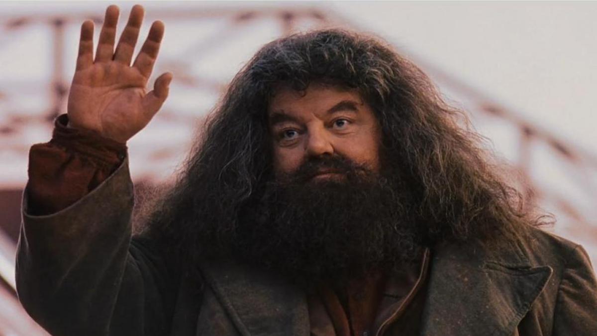 Hagrid saludando
